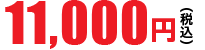 11,000円（税別）